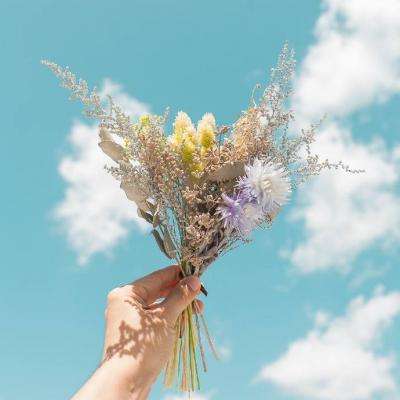 伊朗一高级官员说对美国停战提议做出“消极回应”